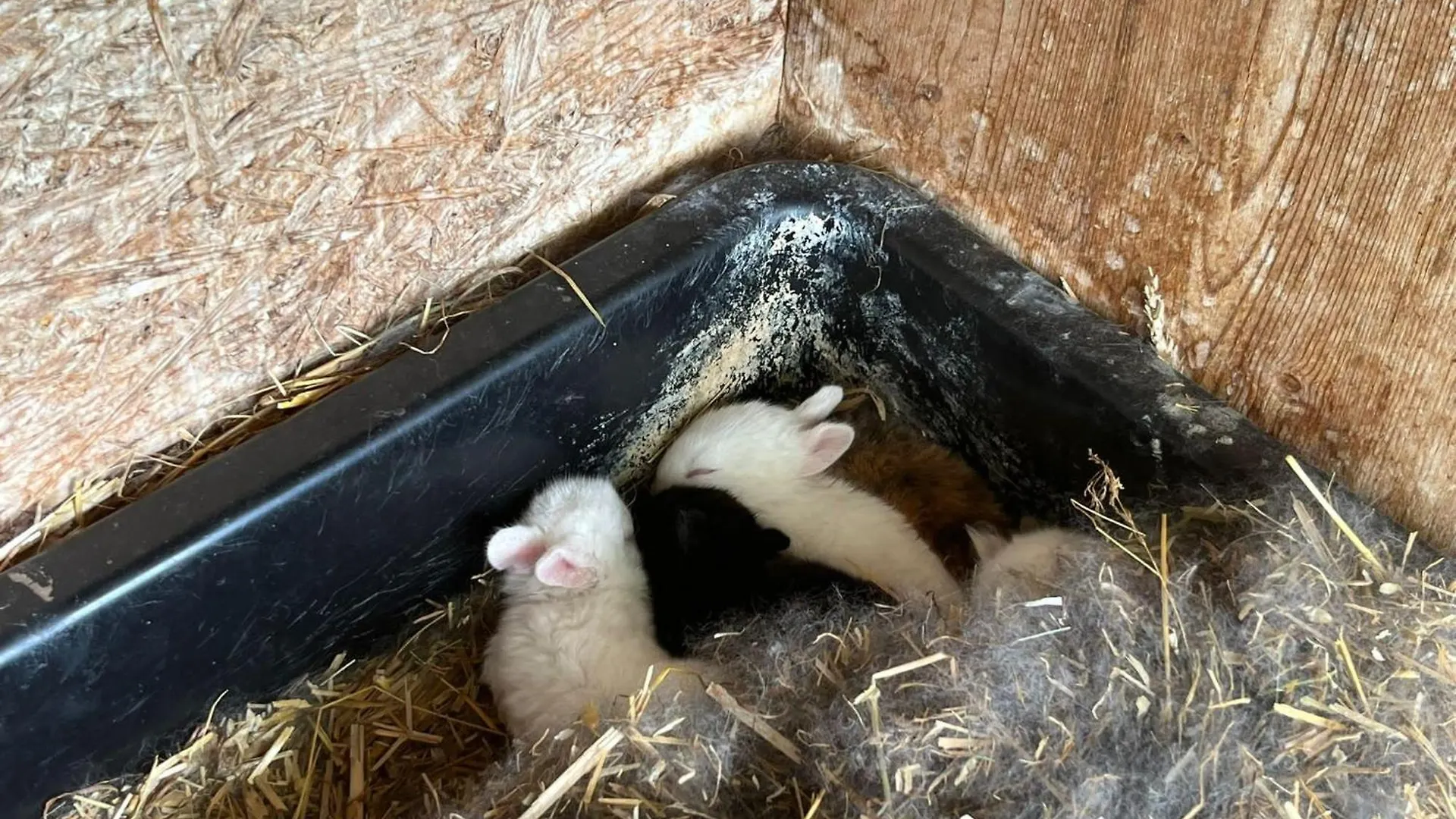 Apartmán Ferienwohnungen Zum Baur Krün Německo